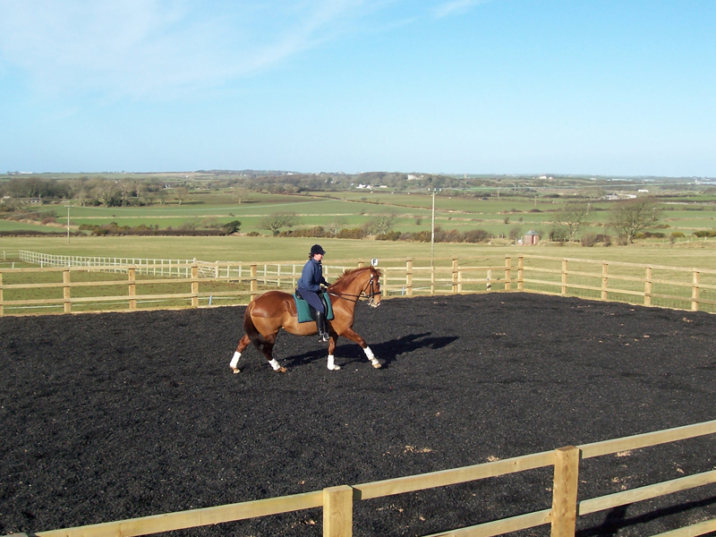 Riding Arenas